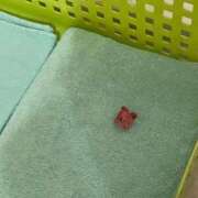 なぎさ ラス枠本指名さんへ 西川口ティアラ