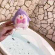 ヒメ日記 2025/11/27 06:37 投稿 瑠川りおん Finemotion