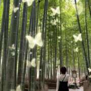 ヒメ日記 2026/02/28 23:53 投稿 瑠川りおん Finemotion