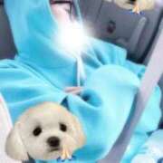 ヒメ日記 2026/03/18 14:08 投稿 瑠川りおん Finemotion