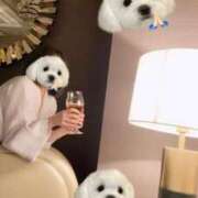 瑠川りおん 来月について Finemotion