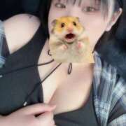 ヒメ日記 2025/07/16 17:05 投稿 あお 群馬高崎前橋ちゃんこ