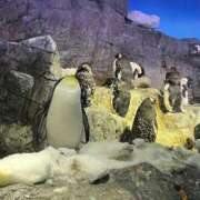 ヒメ日記 2025/02/23 10:35 投稿 みほ 尼妻（あまづま）