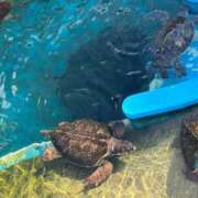 ヒメ日記 2025/02/23 10:49 投稿 みほ 尼妻（あまづま）