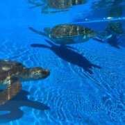 ヒメ日記 2025/06/02 16:57 投稿 みほ 尼妻（あまづま）