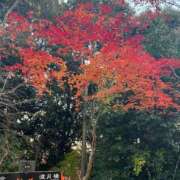 みほ 出勤しました❣️ 尼妻（あまづま）