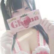 ヒメ日記 2025/04/18 07:19 投稿 つきの G-STAGE