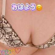 ヒメ日記 2026/06/30 07:53 投稿 ここね 熟女家 豊中蛍池店