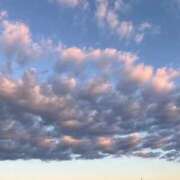 ヒメ日記 2026/01/10 10:16 投稿 みん 池袋マリン別館