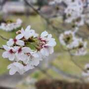 ヒメ日記 2026/04/02 18:26 投稿 飴村めろ ニューハーフヘルスLIBE大阪梅田店