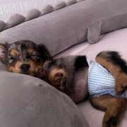 ヒメ日記 2025/01/12 12:44 投稿 みや マリン土浦本店