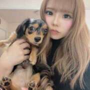 ヒメ日記 2025/07/14 21:03 投稿 みや マリン土浦本店