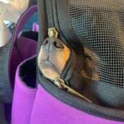 ヒメ日記 2025/08/28 17:11 投稿 みや マリン土浦本店