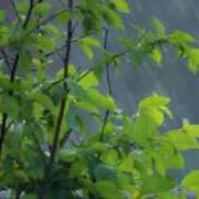 ヒメ日記 2026/07/05 07:03 投稿 さゆり 人妻洗体倶楽部