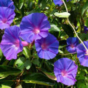 ヒメ日記 2026/08/08 10:38 投稿 さゆり 人妻洗体倶楽部