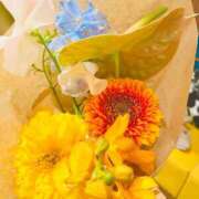 ヒメ日記 2025/03/28 18:44 投稿 めぐみ ぷよラブむ～ぶめんと