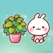 ヒメ日記 2025/06/03 01:40 投稿 あきな 熟女＆人妻＆ぽっちゃり倶楽部