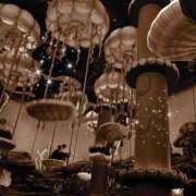 ヒメ日記 2025/07/14 21:24 投稿 麻美/あさみ 五反田アネージュ（ユメオト）