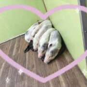 ヒメ日記 2025/07/16 09:13 投稿 麻美/あさみ 五反田アネージュ（ユメオト）