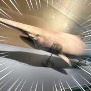 ヒメ日記 2025/08/17 22:42 投稿 麻美/あさみ 五反田アネージュ（ユメオト）