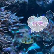 ヒメ日記 2025/09/26 07:26 投稿 麻美/あさみ 五反田アネージュ（ユメオト）