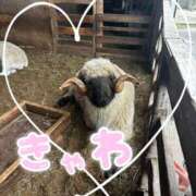 ヒメ日記 2025/10/13 20:40 投稿 麻美/あさみ 五反田アネージュ（ユメオト）