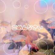 ヒメ日記 2025/10/22 06:45 投稿 麻美/あさみ 五反田アネージュ（ユメオト）