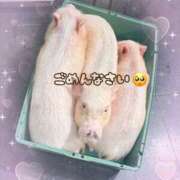 ヒメ日記 2025/10/31 08:54 投稿 麻美/あさみ 五反田アネージュ（ユメオト）