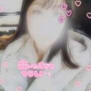 ヒメ日記 2025/11/14 09:15 投稿 麻美/あさみ 五反田アネージュ（ユメオト）