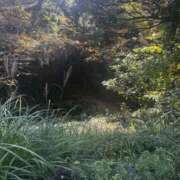 ヒメ日記 2025/11/15 10:07 投稿 麻美/あさみ 五反田アネージュ（ユメオト）