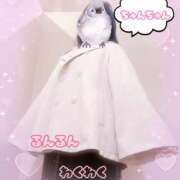 ヒメ日記 2025/11/25 11:17 投稿 麻美/あさみ 五反田アネージュ（ユメオト）