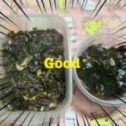 ヒメ日記 2025/11/27 18:14 投稿 麻美/あさみ 五反田アネージュ（ユメオト）