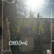 ヒメ日記 2025/12/01 10:48 投稿 麻美/あさみ 五反田アネージュ（ユメオト）