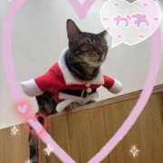 ヒメ日記 2025/12/24 11:39 投稿 麻美/あさみ 五反田アネージュ（ユメオト）