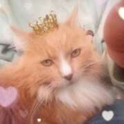 ヒメ日記 2026/01/20 23:13 投稿 麻美/あさみ 五反田アネージュ（ユメオト）