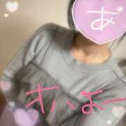 ヒメ日記 2026/04/03 08:00 投稿 麻美/あさみ 五反田アネージュ（ユメオト）