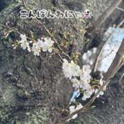 ヒメ日記 2026/04/10 22:27 投稿 麻美/あさみ 五反田アネージュ（ユメオト）