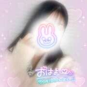 ヒメ日記 2026/04/12 10:18 投稿 麻美/あさみ 五反田アネージュ（ユメオト）