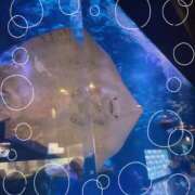 ヒメ日記 2026/04/29 00:52 投稿 麻美/あさみ 五反田アネージュ（ユメオト）