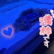 ヒメ日記 2026/05/04 23:20 投稿 麻美/あさみ 五反田アネージュ（ユメオト）