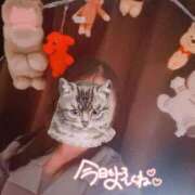 ヒメ日記 2026/05/07 09:54 投稿 麻美/あさみ 五反田アネージュ（ユメオト）