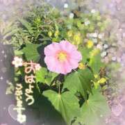 ヒメ日記 2026/10/12 11:51 投稿 麻美/あさみ 五反田アネージュ（ユメオト）