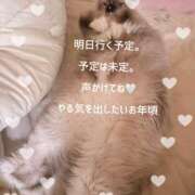 ヒメ日記 2026/10/19 23:13 投稿 麻美/あさみ 五反田アネージュ（ユメオト）