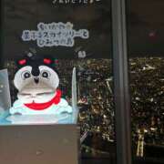 ヒメ日記 2026/10/23 13:29 投稿 麻美/あさみ 五反田アネージュ（ユメオト）