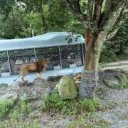 ヒメ日記 2025/08/22 11:33 投稿 さな 渋谷くいーんず