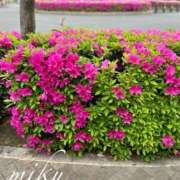 ヒメ日記 2025/04/28 23:28 投稿 みく セレブクエスト-koshigaya-