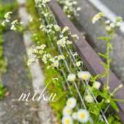 ヒメ日記 2025/06/09 08:03 投稿 みく セレブクエスト-koshigaya-