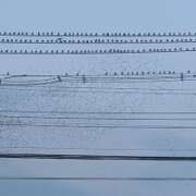 ヒメ日記 2025/08/09 18:58 投稿 みく セレブクエスト-koshigaya-