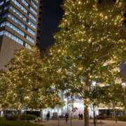 ヒメ日記 2025/01/19 17:32 投稿 まこ ごほうびSPA名古屋店