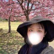 ヒメ日記 2025/03/18 16:21 投稿 まこ ごほうびSPA名古屋店